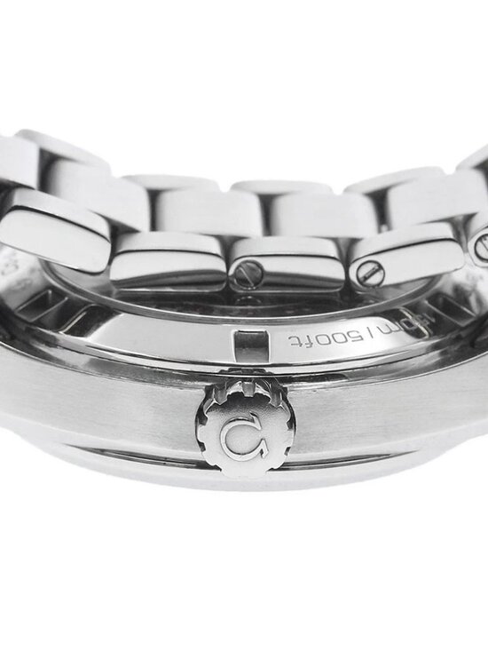 OMEGA Seamaster Aqua Terra 231.10.39.21.06.001 Co-Axial Automatic Men\'s_902097